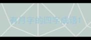 有月字的四字成语