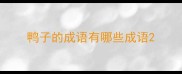 鸭子的成语有哪些成语