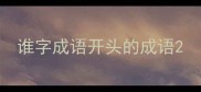 谁字成语开头的成语