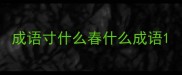 成语寸什么春什么成语