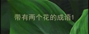带有两个花的成语
