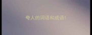 夸人的词语和成语