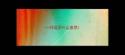 一对成语什么意思