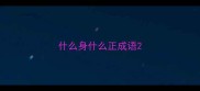 什么身什么正成语