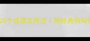 带二三的20个成语及用法附经典例句和记忆技巧