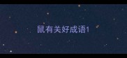 鼠有关好成语