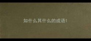 如什么其什么的成语