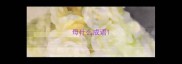 母什么成语