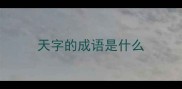 天字的成语是什么