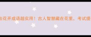 必学这些花开成语超实用古人智慧藏在花里考试提分必备
