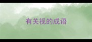有关视的成语