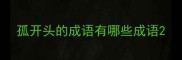 孤开头的成语有哪些成语