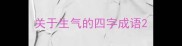 关于生气的四字成语