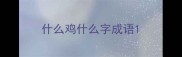 什么鸡什么字成语