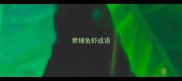 禁捕鱼虾成语