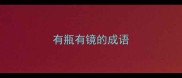 有瓶有镜的成语