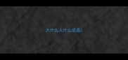 大什么人什么成语