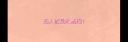 无人能及的成语