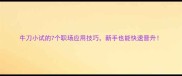 牛刀小试的7个职场应用技巧新手也能快速晋升