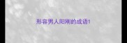 形容男人阳刚的成语