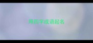 用四字成语起名