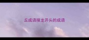丘成语接龙开头的成语
