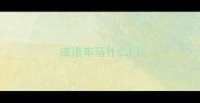 成语车马什么门