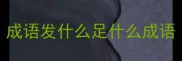 成语发什么足什么成语