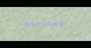 为字打头的成语