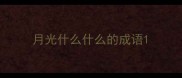月光什么什么的成语