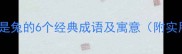 第二个字是兔的6个经典成语及寓意附实用场景