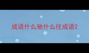 成语什么驰什么往成语