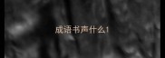 成语书声什么