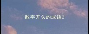 散字开头的成语