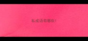 私成语有哪些