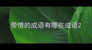 带情的成语有哪些成语