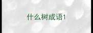 什么树成语