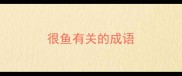 很鱼有关的成语