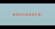 最贵的许诺成语之最