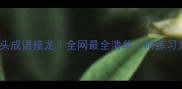 bi开头成语接龙全网最全清单附练习方法