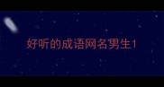 好听的成语网名男生
