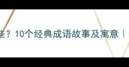 蚂蚁与大象的成语有哪些10个经典成语故事及寓意适合孩子学习的成语文化