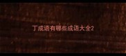 丁成语有哪些成语大全
