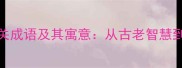 50个蛇相关成语及其寓意从古老智慧到现代应用