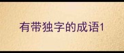 有带独字的成语