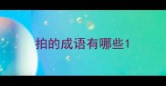 拍的成语有哪些