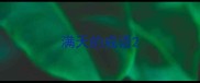 满天的成语
