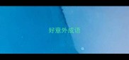 好意外成语