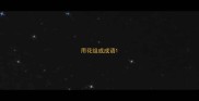 用花组成成语