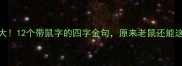 鼠年成语大12个带鼠字的四字金句原来老鼠还能这么聪明